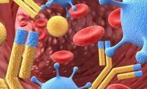 抗主要過敏原抗體、抗人免疫球蛋白抗體、流式抗體、抗過敏主要相關(guān)致病分子抗體